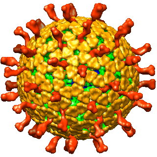 Rotavirus triple-layered particle