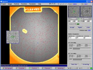 Signature: Micrograph Display with Particle Selection Overlay